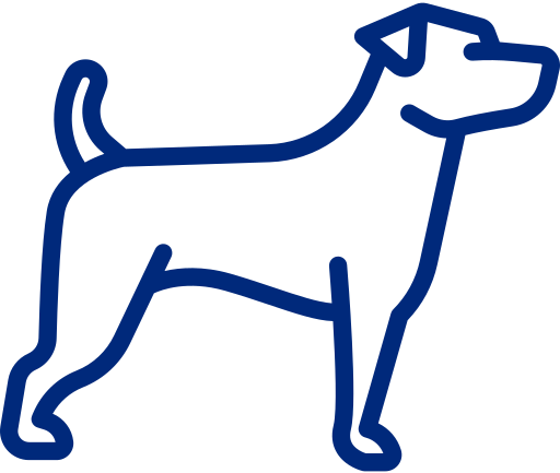 Professional Stud Services for Pocket, Micro & Nano Bullies