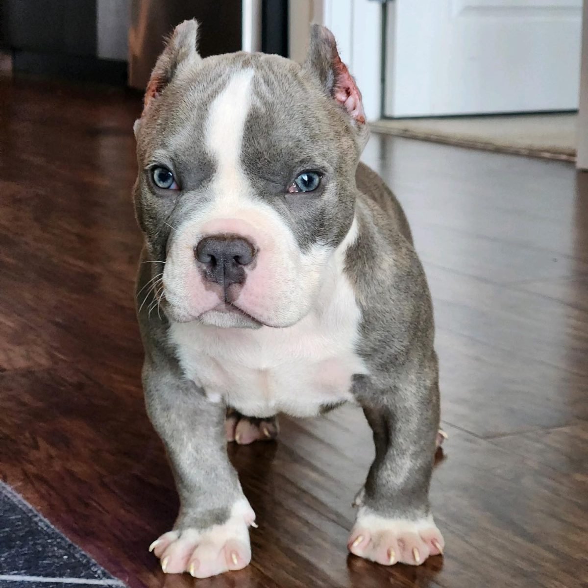 472713580_908117184772116_7882832414577831590_n