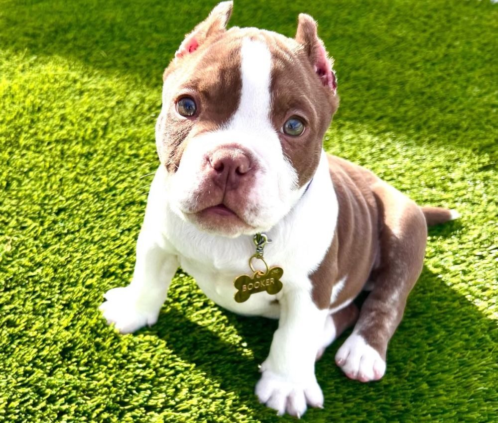 473120555_912253294358505_1010150350901230801_n