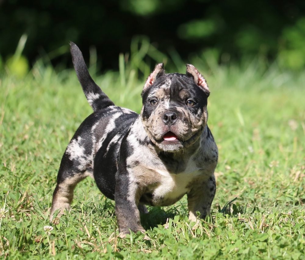 500644804_18504873205002409_2516442797892378926_n