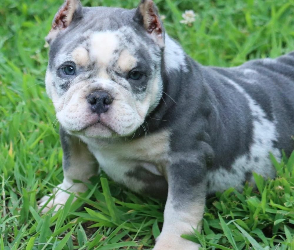 505158974_1015997690650731_1462162519691116906_n